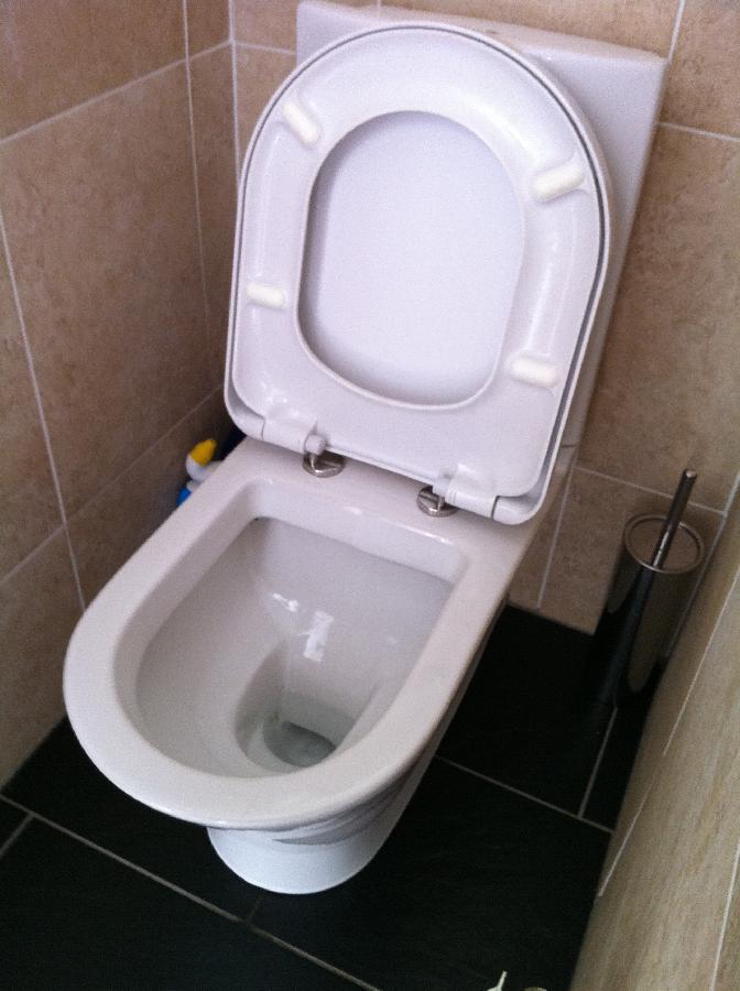 Ask The Trades How On Earth Do I Tighten My Toilet Seat Up - How To Fix A Wobbly Toilet Seat Uk
