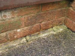 completenoviceporch1