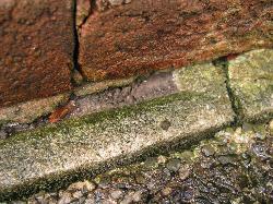 completenoviceporch2